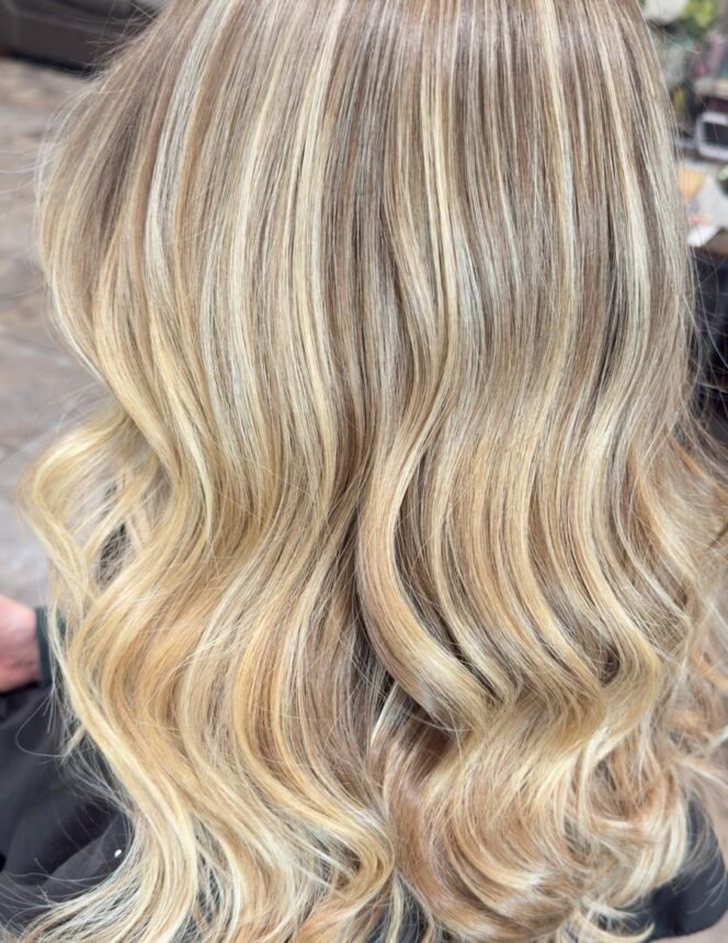 WhatsApp Image 2026-02-05 at 8.25.20 PM