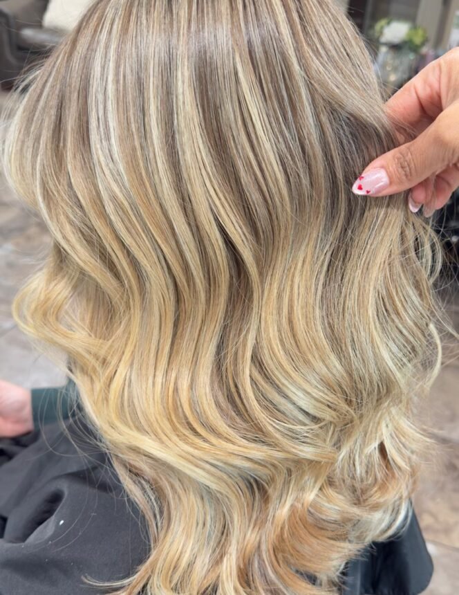 WhatsApp Image 2026-02-05 at 8.27.05 PM